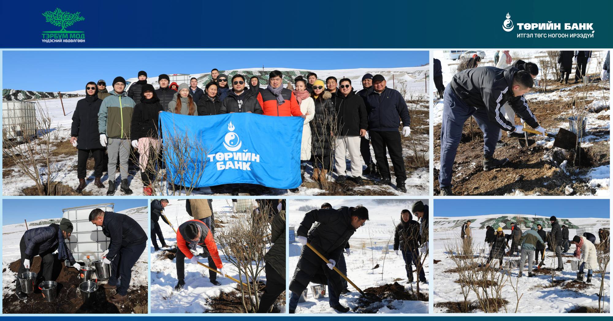 Төрийн банкны хамт олон Таширын аманд мод тарилаа